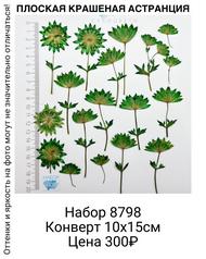 42a43b1af04a4157bc65cc1a497e1ccf