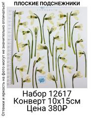 43f0cf42d89d447eaaac2e09458ebbc4