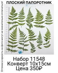 44a84a117b4c46ee94a889969a655572