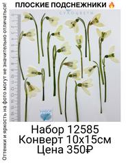 481279c71d4f461f84a225a99dad2d07