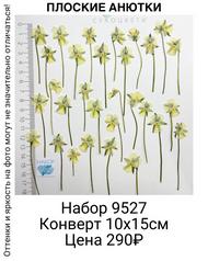 4b64fe0248184c0a8fe9018750c5b4e9