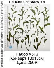 4bfb3f8a361740e5804243d2f89c5e9c