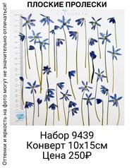 54b7c46982c849ba9272744158c13ce4