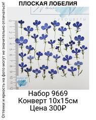 599449e9e8a54865928f35f851c296f5