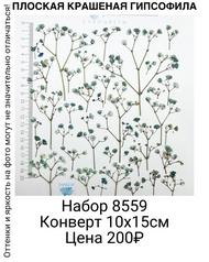 627e3d10bbd54bc780b64ab5e3012c02