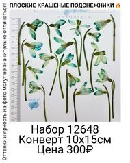 64a4c5b58507412ca466bd65e3db6329