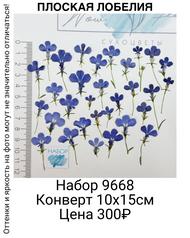 70473834cb99410097283ec695b0a2cb