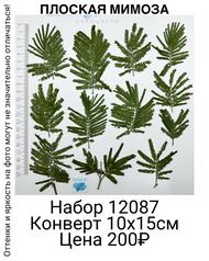 736277b8f7a947aab20e90a6cdd0391c