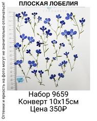 772b22c3065e43f49461d854582a3d0c