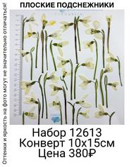 7b57c0f1429044419ac13db486c150b8