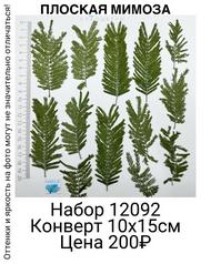 7dbf0f9f78624c1c9b3e8c5812bd03d7