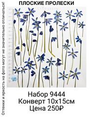 7f8469114e52416da1bfbae84ad91686