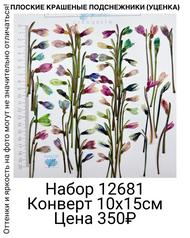 8111f031562c45cb8e8c78eb385ffba2