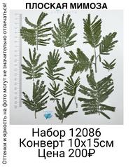 8111ff6cd3e1416c9e350ce0cc2d0850