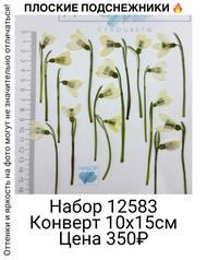 828ae8fa6b5b4b5986f0702b961b5cb7