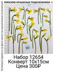 877eb5f5dfd04fa7bfb231d1d9d19372