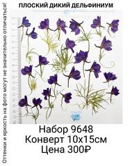 89a2dd5f8abf41ed9f88b48699e9af1a