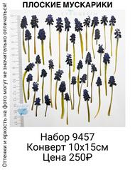 8bbd7a92c7d848bc874dff3e9feac1b4