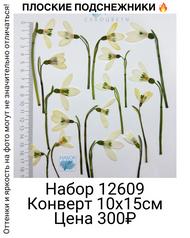 8d0a4034c8ac425085d909e1985ad004