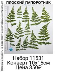 8dc97233243549f3bbdbfb42a01d4b31