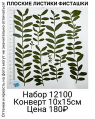 8ea4a9d0db814679bbdb5f11fe272449