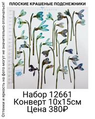 955b21e6e3244c3d87be751d6213668f