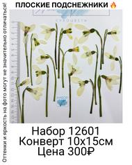 96c98a0cd9a141458f04031c5fb27273