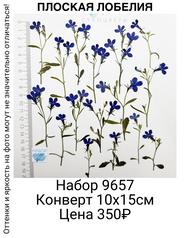 986532b625e64357884d90442b829de9