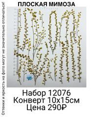 9ca4a4ddccfc4d7ca9218ecbc3c1c1fe