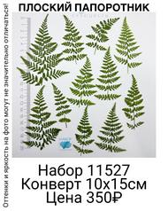 9d23710cd9fe420c9b9eaac473d7bc6e