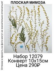 a792a71ec33b4b47bf1a529ce06b29c8