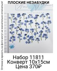 ae6a95eb08394df19cade1fce3345897