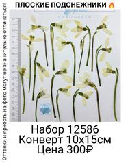 b2e96ccbc3d24b67a98180f642fc9e27