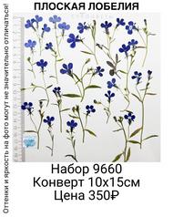 b4edca0561d04162a358d3ca6778baee