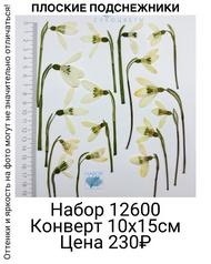 b50921592f7041169128cba3b8a39668