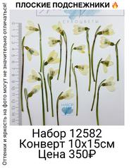 beaf0cf91c604a40bbdcd1a5efe42818