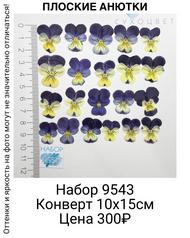 c19f945786744defb9f872548579c355