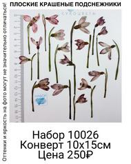 c1f4bfce1a3b447a8d6334027b0325ce