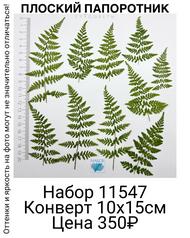 c8968af226644db59708a994875863f6