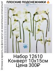 c8c7908bc4144ad28a2fc90f3cd017b0