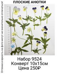 ca8c3b9e88054bc688a36593e1dd6bcf