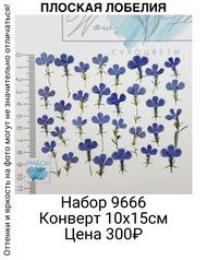 cb681d2291934770a8eccaac447ea668