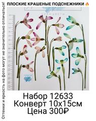 d4267bab535b4e8c86c987ce2a4d58c5