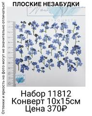 da27d6134b3a4cb38a811132c3134c9c