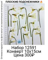 dbe33d9ef16e4b329c41dbe32403b745