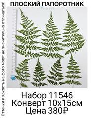 dd6d7c1d022c4f18abea89e8f1e779a1