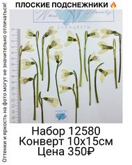 e0f368438d8f4ccba16b8a32bbfb6f40