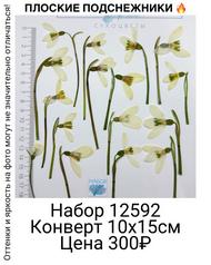 e1c448e11aac4dda842c2ba468839a29