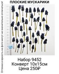 e221f008a10144e3b8943c2dc5486328