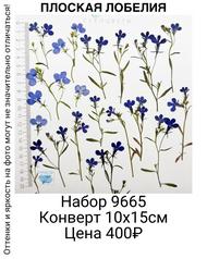 ec577ed796c848c897907542e9732e21